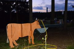 Westernlager 2016: Die Waschrinne