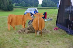 Westernlager 2016: Wo sind die Cowboys?